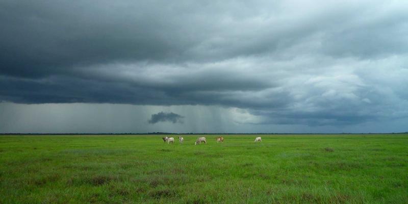 信息综合与治愈：好99内容审核规范如何打造健康积极的分享社区