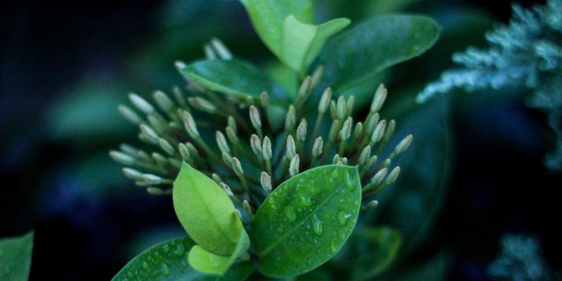 好9959:信息时代的综合资源枢纽,如何高效连接与利用