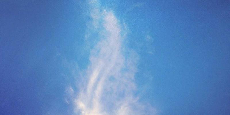 好99使用全攻略：掌握导航与链接功能，提升效率体验