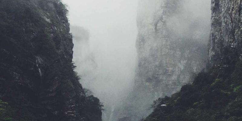 好99前景:在治愈与温馨的链接中,看见数字时代的情感新生态