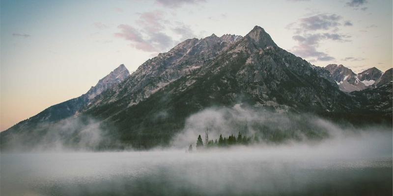 好99发展：在数字时代构建治愈型链接的深层价值