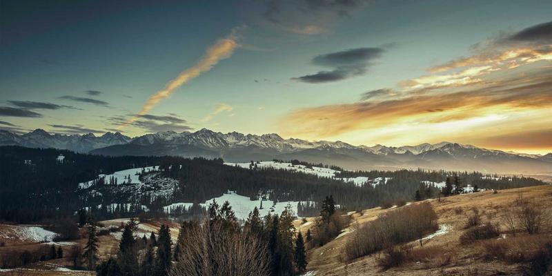 好99：在数字时代重拾治愈与温馨的生活哲学