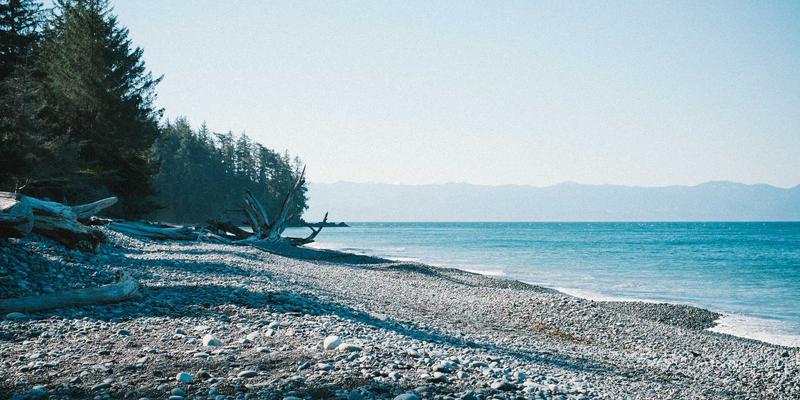 好99平台如何以温馨链接赋能国潮崛起：新消费趋势下的关键角色分析