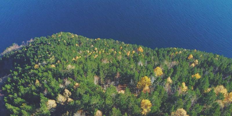 好99平台资源赋能：国潮品牌崛起背后的温馨消费新趋势