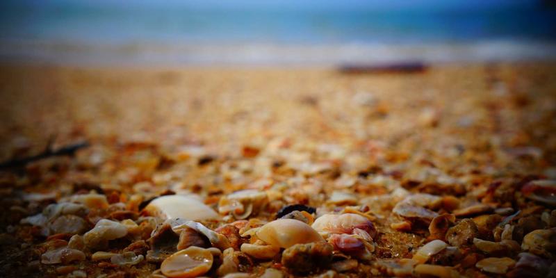 好99平台：链接环保品牌与消费者的温馨工具，共创可持续时尚未来