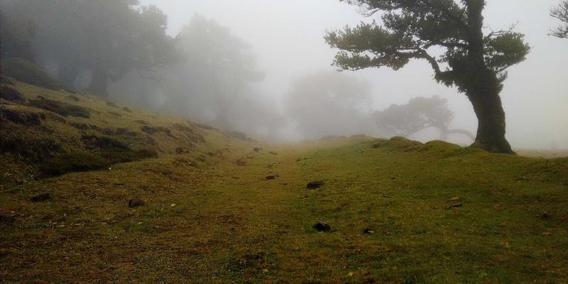 好99推荐：在数字时代寻找治愈心灵的温馨资源