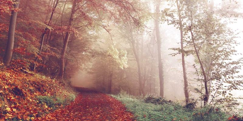 好99攻略:打造温馨综合的数字生活链接站