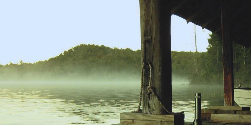 好99是什么？探索一个集温馨、信息与链接于一体的数字家园