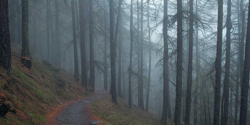 好99物流网络解析：仓储布局、配送速度与绿色包装实践