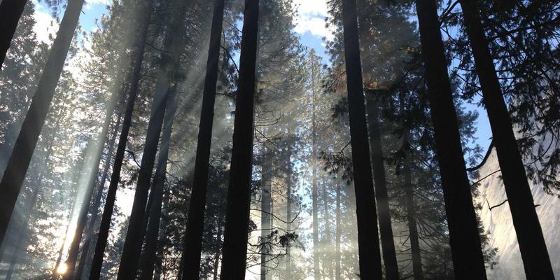 好99评测：一个综合而温馨的在线生活指南