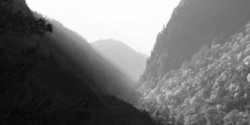 工具与链接的艺术：好99夜间经济与限时闪购活动的综合运营策略深度解析