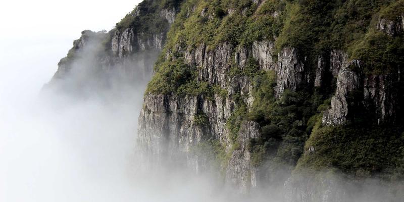 工具、综合与信息：解码好99与传统电商的差异化竞争策略