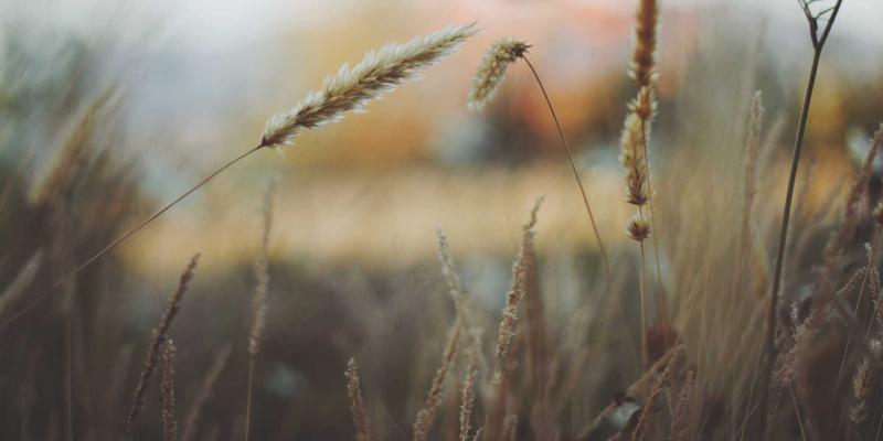 治愈与导航：好99如何守护您的信息安全港湾