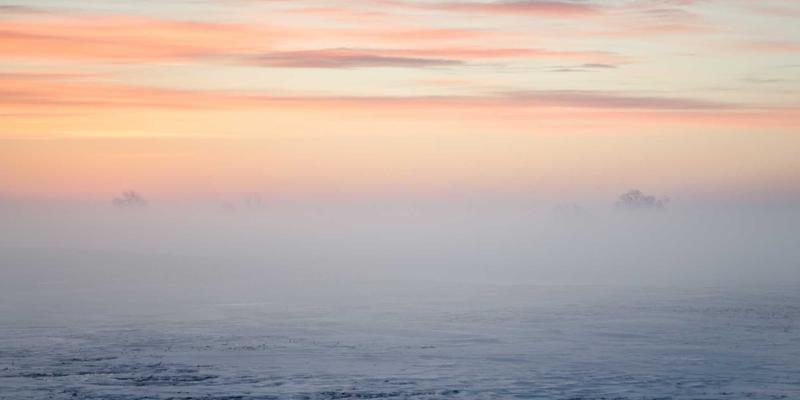 治愈与温馨的力量：好99跨界联名如何打造爆款与社交话题