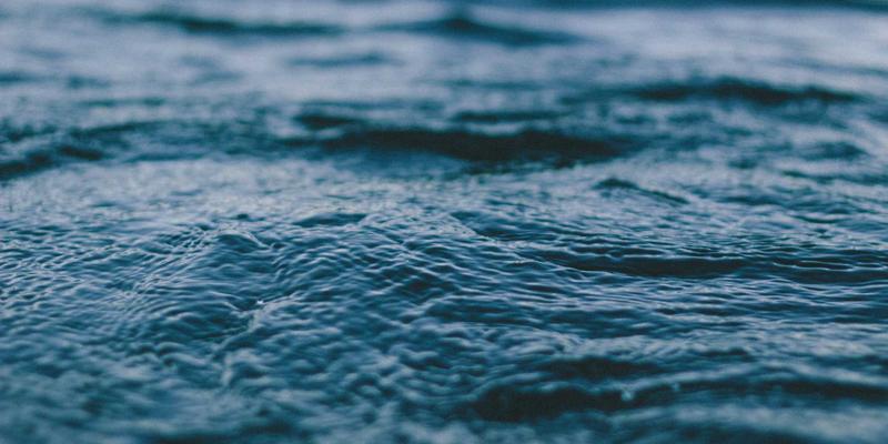 用好99搜索功能与资源导航，三步实现高效找货