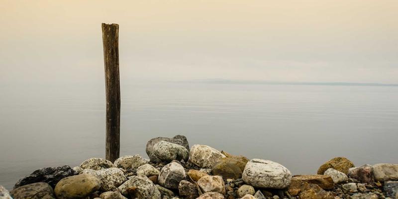 资源导航新范式：好99如何成为可持续时尚与循环购物的综合枢纽